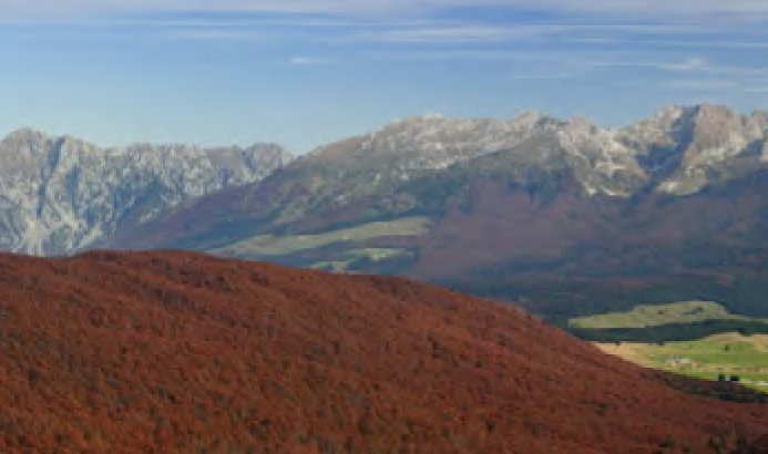 Pro Loco Cassola iniziativa Boschi a Natale - Escursione Foresta del Cansiglio