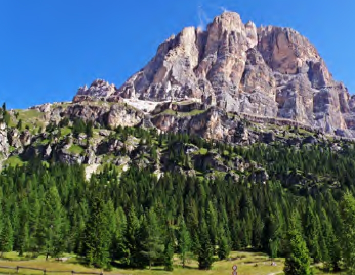 Boschi a Natale - Parco Regole d'Ampezzo